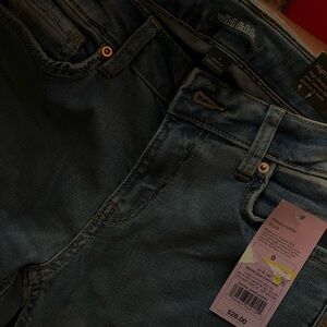 Wild Fable Blue Skinny Jeans Classic Denim